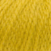 Stylecraft Yarn Zest (3985) Stylecraft Softie Chunky 5034533084676
