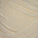 Stylecraft Yarn Cream (1005) Stylecraft Special Aran 5034533029783