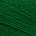 Stylecraft Yarn Green (1116) Stylecraft Special Aran 5034533085260