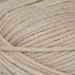 Stylecraft Yarn Parchment (1218) Stylecraft Special Aran 5034533029912