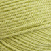 Stylecraft Yarn Pistachio (1822) Stylecraft Special Aran 5034533080074