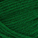 Stylecraft Yarn Green (1116) Stylecraft Special Chunky 5034533085314
