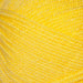 Stylecraft Yarn Citron (1263) Stylecraft Special DK 5034533027642