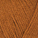 Stylecraft Yarn Gingerbread (1806) Stylecraft Special DK 5034533085994
