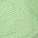 Stylecraft Yarn Spring Green (1316) Stylecraft Special DK 5034533027802