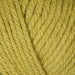 Stylecraft Yarn Lime (1712) Stylecraft Special XL 5034533079948