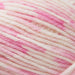 West Yorkshire Spinners Yarn Day Dream (887) West Yorkshire Spinners Bo Peep DK 5053682088878