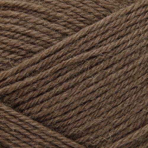 West Yorkshire Spinners Yarn Hazel Brown (491) West Yorkshire Spinners ColourLab DK 5053682184914