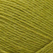 West Yorkshire Spinners Yarn Pear Green (186) West Yorkshire Spinners ColourLab DK 5053682181869