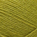 West Yorkshire Spinners Yarn Pear Green (186) West Yorkshire Spinners ColourLab DK 5053682181869