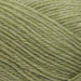 West Yorkshire Spinners Yarn Cool Aloe (1102) West Yorkshire Spinners Elements DK 5053682002096
