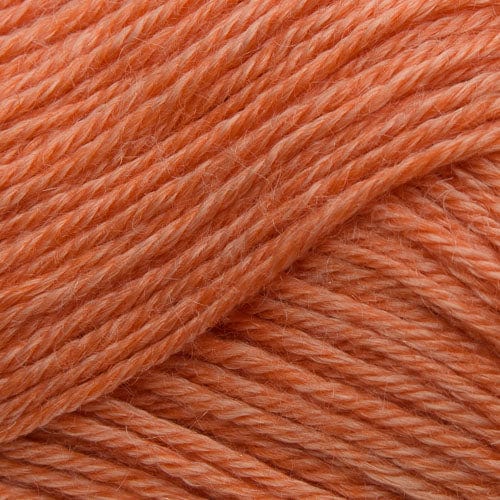 West Yorkshire Spinners Yarn Living Coral (1103) West Yorkshire Spinners Elements DK 5053682002102