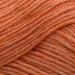 West Yorkshire Spinners Yarn Living Coral (1103) West Yorkshire Spinners Elements DK 5053682002102