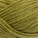 West Yorkshire Spinners Yarn Palm Leaf (1104) West Yorkshire Spinners Elements DK 5053682002119