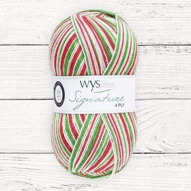 West Yorkshire Spinners Yarn West Yorkshire Spinners Signature 4 Ply (Christmas)