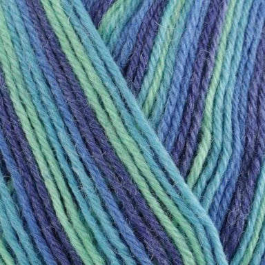 West Yorkshire Spinners Yarn Blue Lagoon (831) West Yorkshire Spinners Signature 4 Ply (Cocktail) 5053682068313