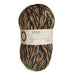 West Yorkshire Spinners Yarn West Yorkshire Spinners Signature 4 Ply (Country Birds)