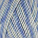 West Yorkshire Spinners Yarn Forget-Me-Not (801) West Yorkshire Spinners Signature 4 Ply (The Florist Collection) 5053682068016