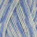West Yorkshire Spinners Yarn Forget-Me-Not (801) West Yorkshire Spinners Signature 4 Ply (The Florist Collection) 5053682068016