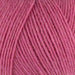 West Yorkshire Spinners Yarn Honeysuckle (234) West Yorkshire Spinners Signature 4 Ply (The Florist Collection) 5053682062342