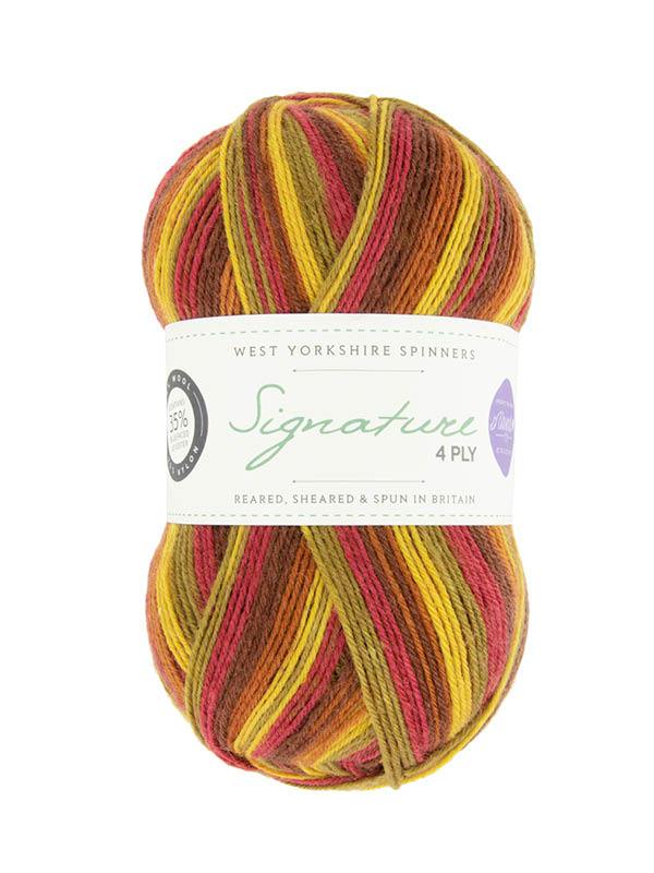 West Yorkshire Spinners Yarn Autumn Leaves (885) West Yorkshire Spinners Signature 4 Ply (The Winwick Mum Collection)